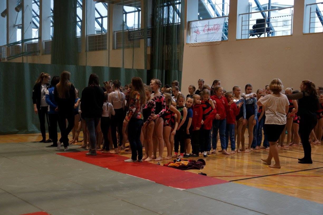 2017 image 7