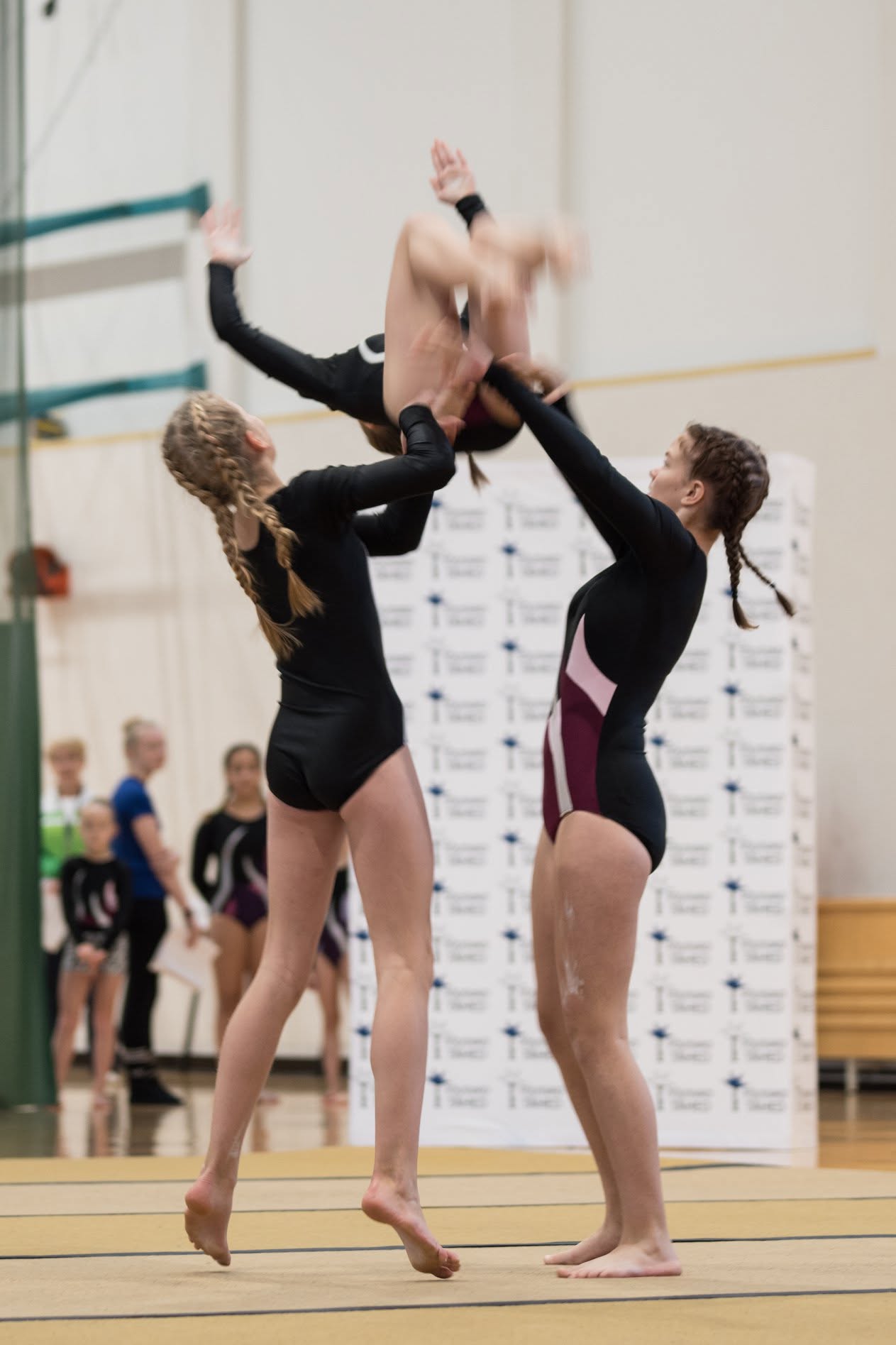 2019 image 1