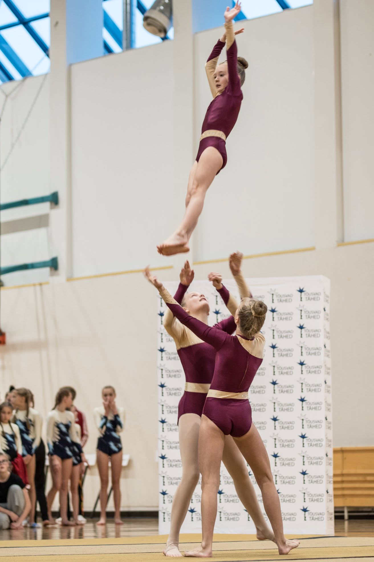 2019 image 8